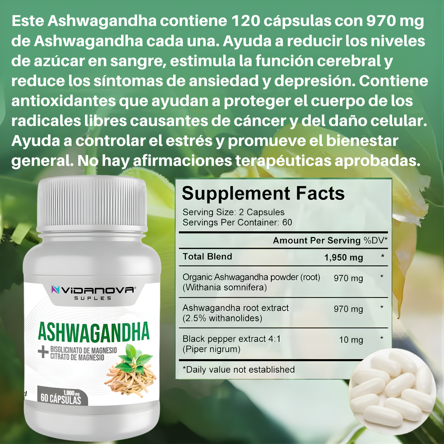 ZenVital™ — Mente en calma. Sueño profundo. Energía real.